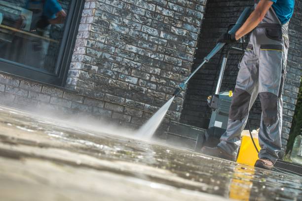 Best Animal Enclosure Cleaning  in South Paris, ME